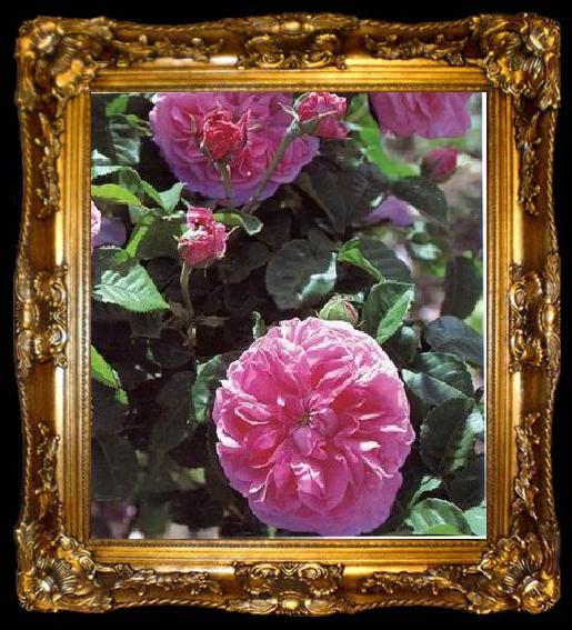 framed  unknow artist Still life floral, all kinds of reality flowers oil painting  327, ta009-2